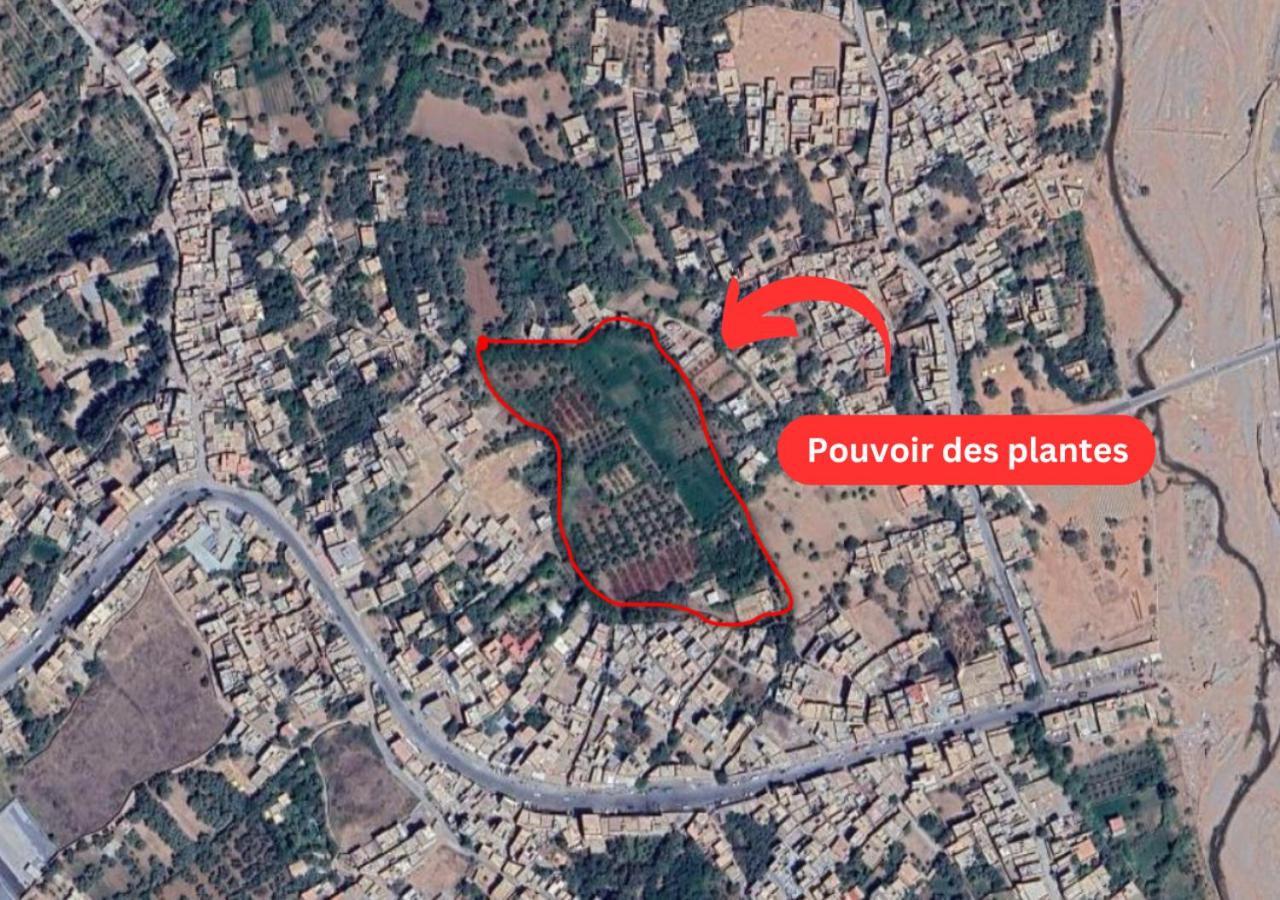 Ferme D'hotes Des Plantes
