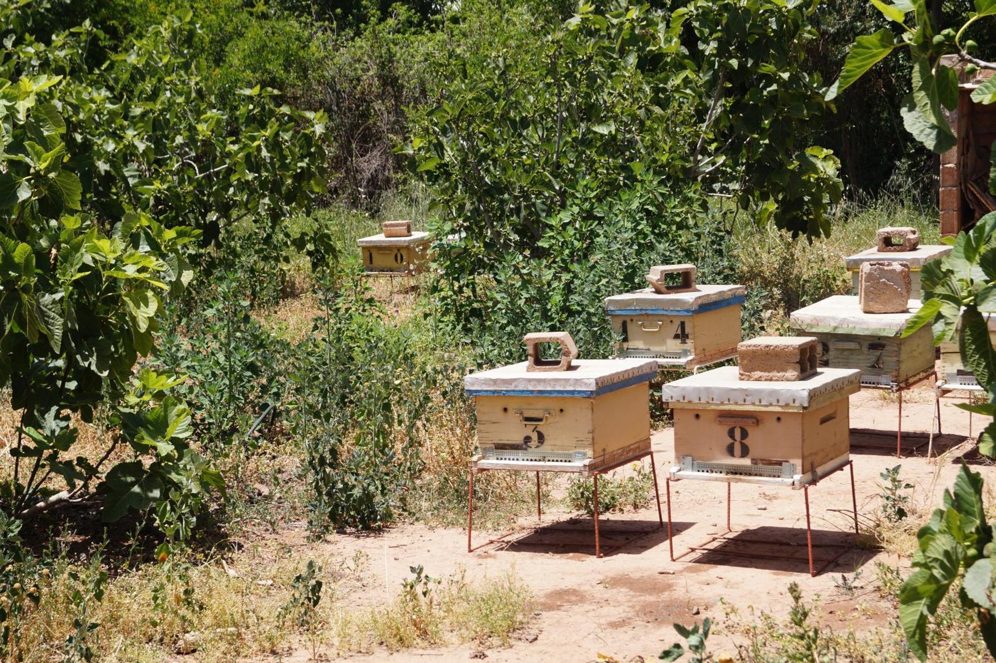 Apartment Ferme D'hotes Des Plantes