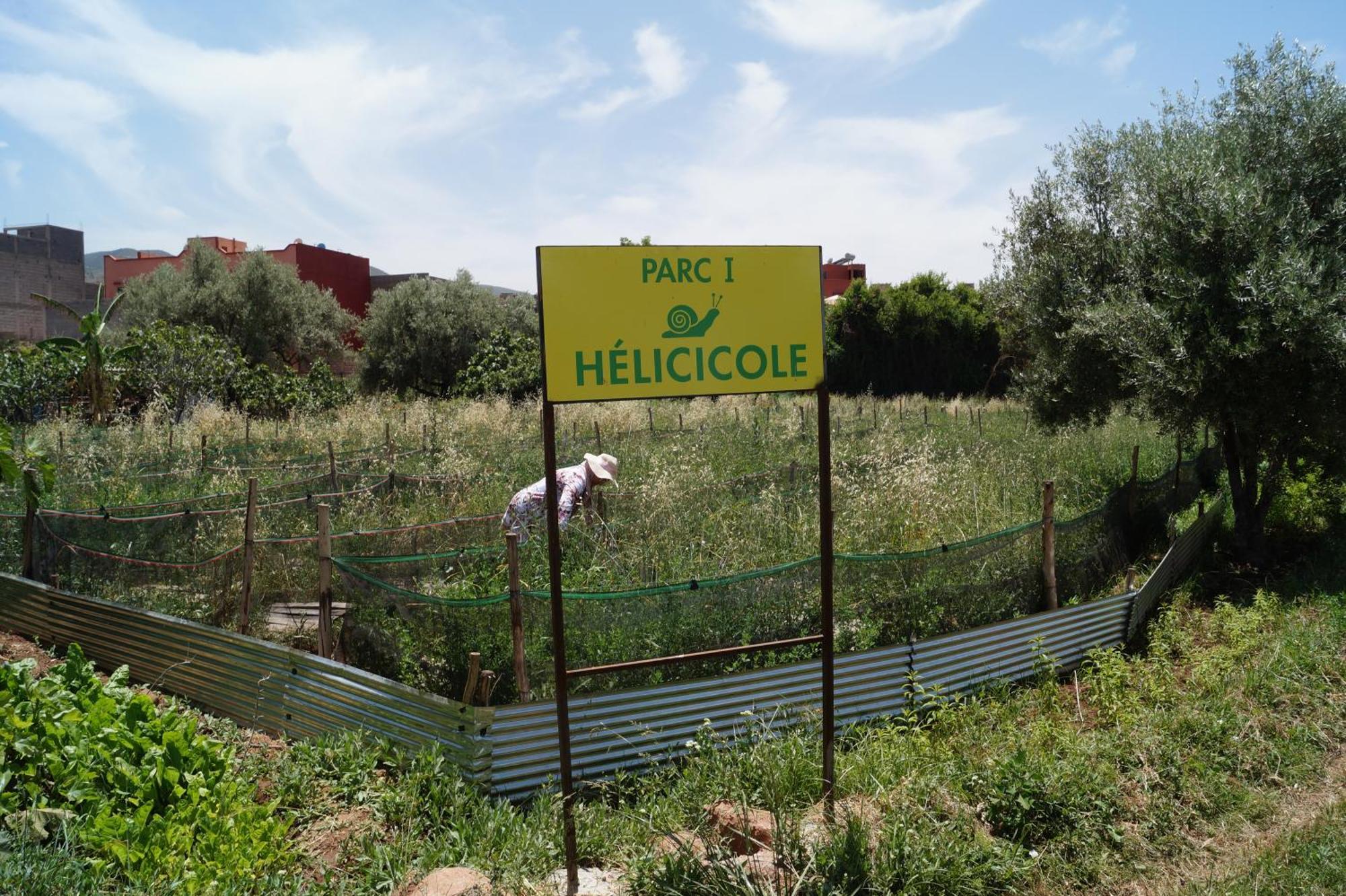 Ferme D'hotes Des Plantes Apartment *