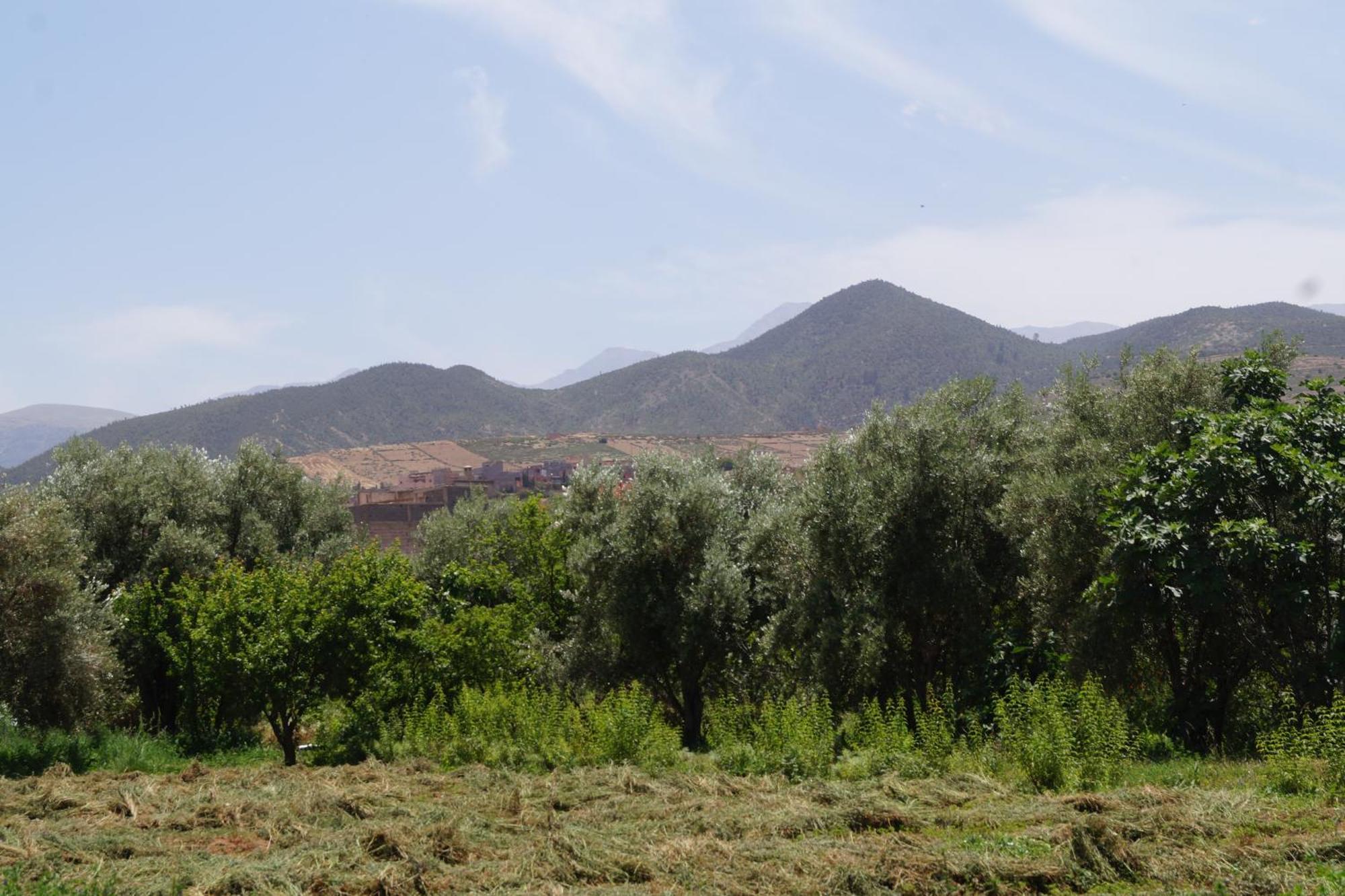 Ferme D'hotes Des Plantes * Ourika