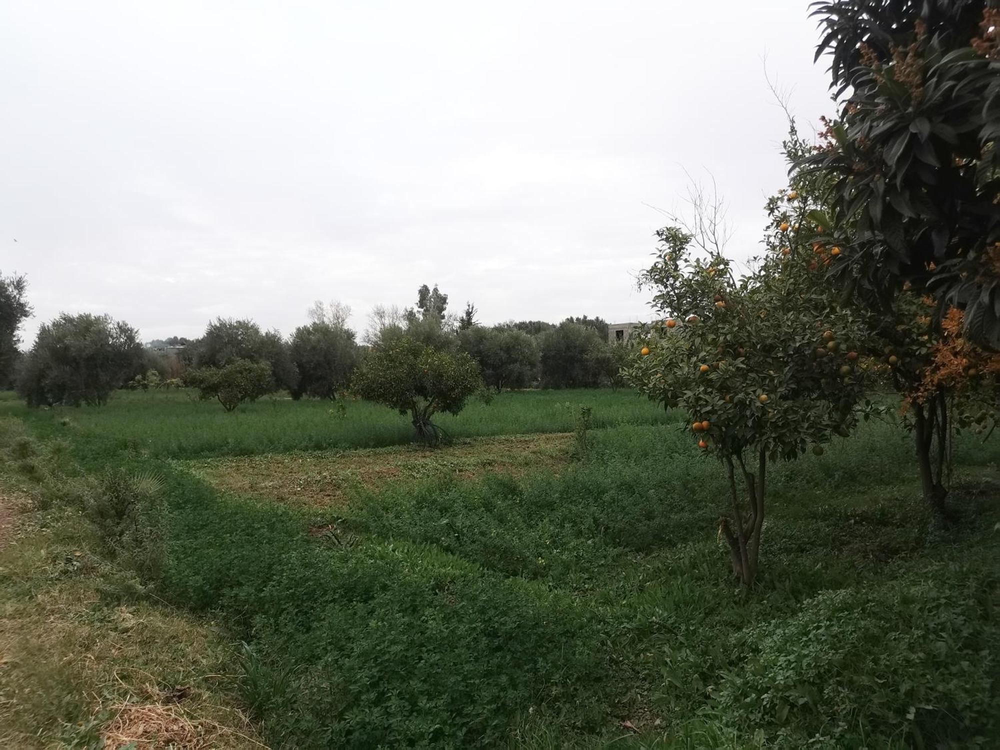 Ferme D'hotes Des Plantes * Ourika