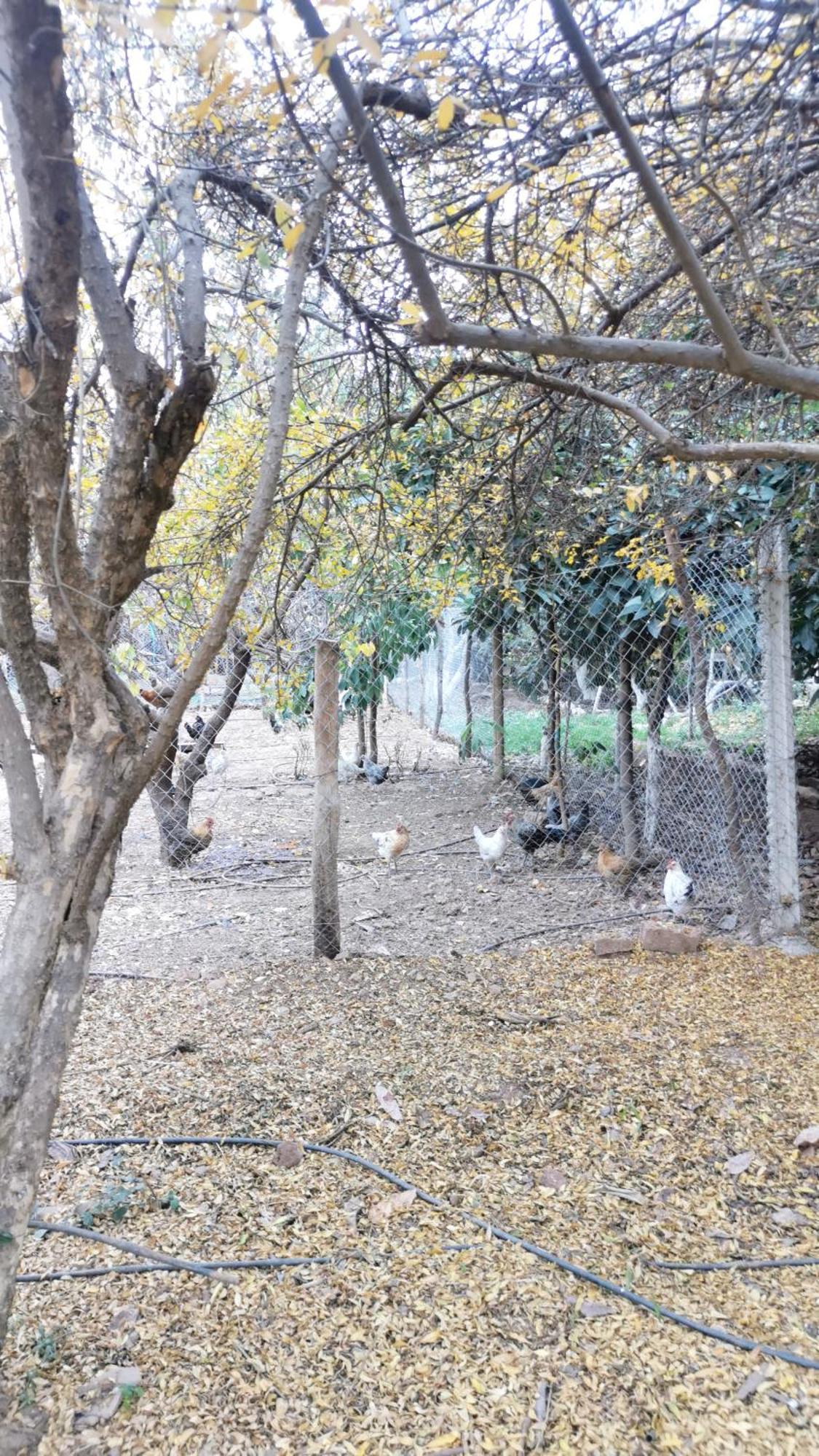 Ferme D'hotes Des Plantes Ourika